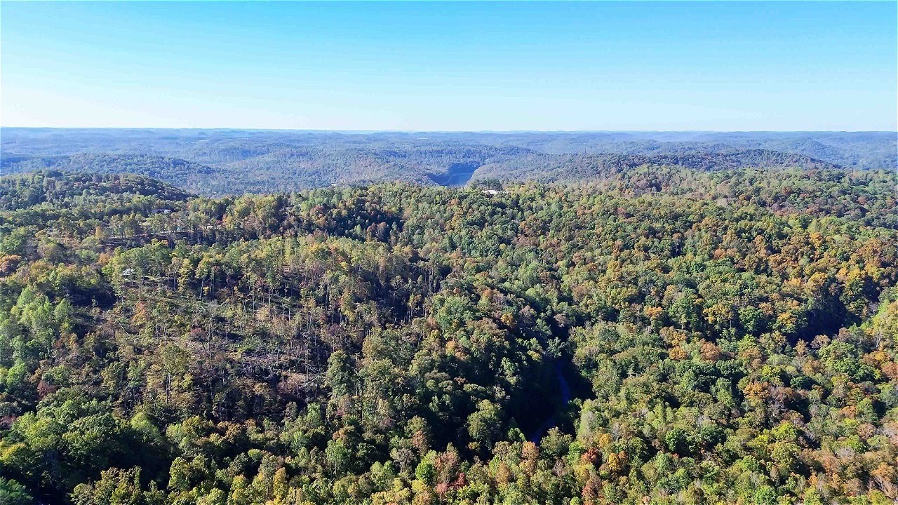 791 Stoneybrook Rd, Бернсайд, Кентукки 42519 [Бренд]