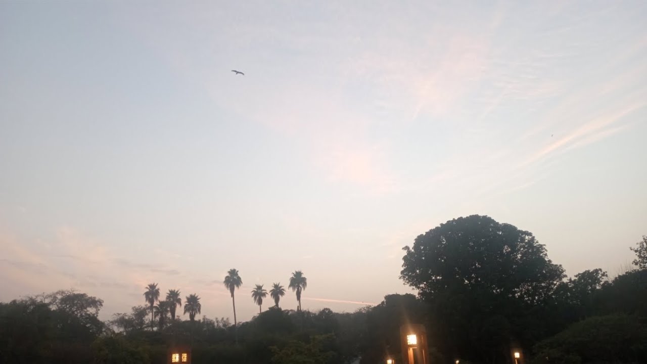 मैं मुरझाये फूल के साथ बैठा रहूँ रात-भर.