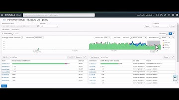 Database Management Service - Top Activity Lite