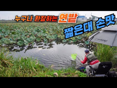 누구나 환장하는 연밭 짧은대 손맛