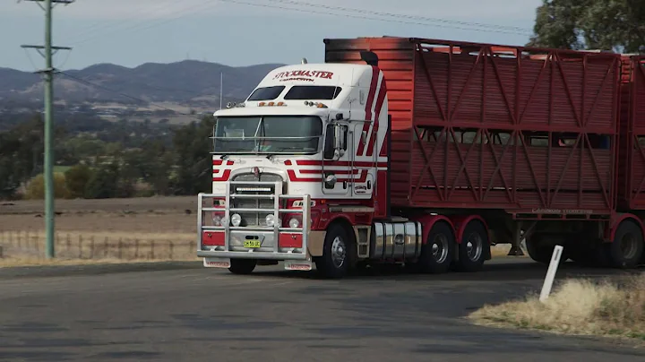 PACCAR Portraits  Cavanagh Stockmaster Group