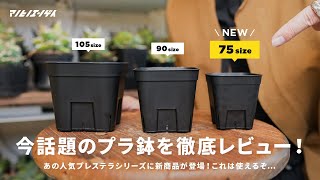 SNSで話題沸騰中のプラ鉢「プレステラ75」をご紹介！こんな鉢が欲しかった…｜塊根植物｜実生｜アガベ