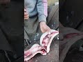 Fish Master