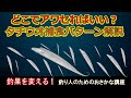 タチウオ釣りを科学で攻略！産卵生態・捕食パターン・アワセの極意を徹底解説【釣り人のためのおさかな講座#1】