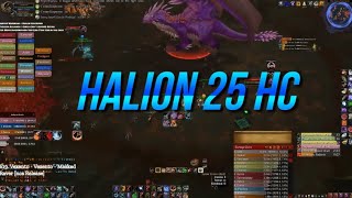 Ruby Sanctum 🆚 Halion 25 M Heroic 👹 MM Hunter PVE POV