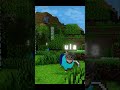 Mincraft X Oiia cat