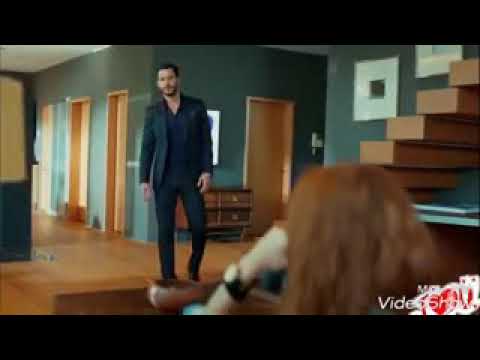 محمود الشاعر تحياتي 