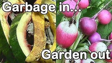 Garbage In, Garden Out: Improve Soil Fertility with "Garbage"