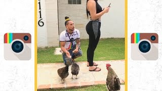 Los Mejores Videos de Instagram Enero 2018