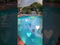 Kids Summertime Pool Party Fun Summer Kids Poolparty Gretski Kids TikTok