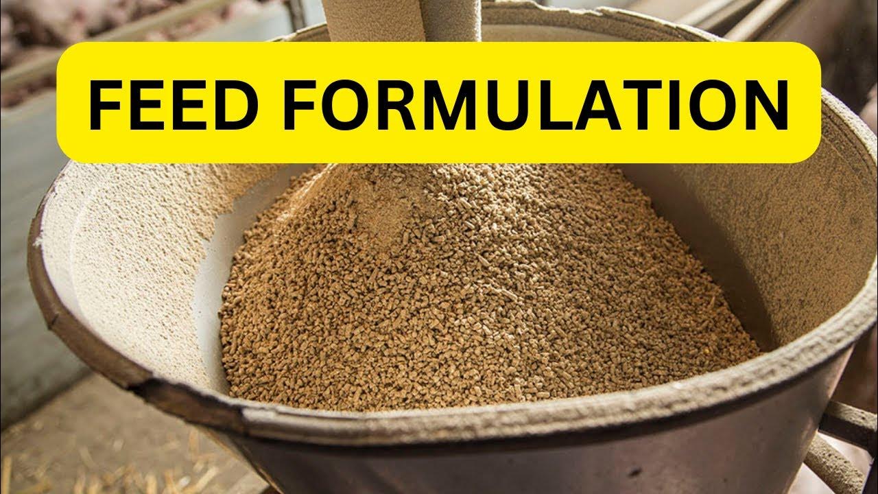 Feed formulation for my Pregnant and Lactating Pigs Best feed for