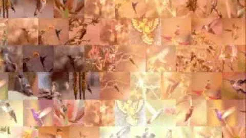 Dodito: Ultimo Vals Mireille Mathieu - Mosaico Digital La dernière valse