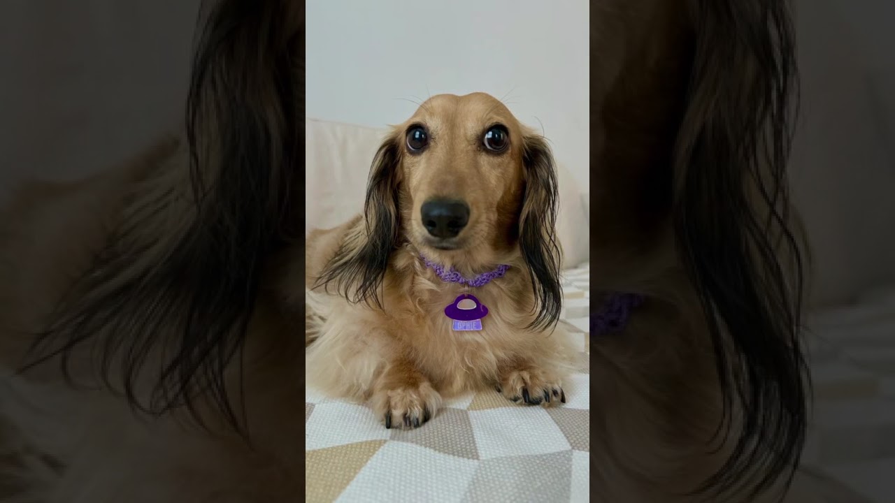 Handmade Flower Pattern Knotted Necklace KaboKnots.com 