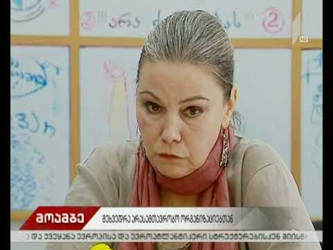 \"ევროპულმა საქართველომ\" არასამთავრობო ორგანიზაციებს წინასაარჩევნო გარემოს შესახებ მიაწოდა ინფორმაცია