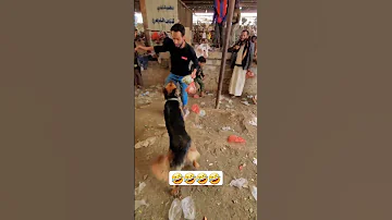 في سوق القات الكلب هجم على نادر تتوقع ليش ههههههههههه محمد الشيشان السعودية اليمن 2024 