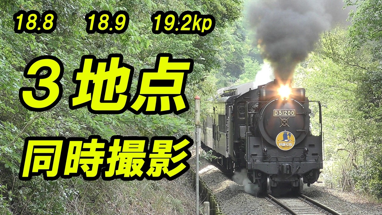 ＳＬ 蒸気機関車 の汽笛 SLやまぐち号】仁保の3箇所でSLやまぐち号を同時撮影。400m