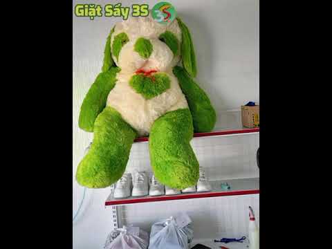 Video 24 tháng 10, 2022 - youtube