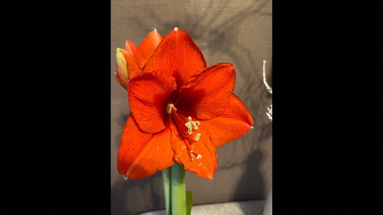 ЧЕТВЕРГОВЫЙ КОФЕ_19.02.26 в 8:45