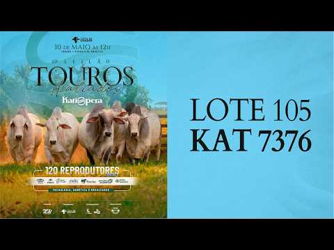 LOTE 105 KAT 7376