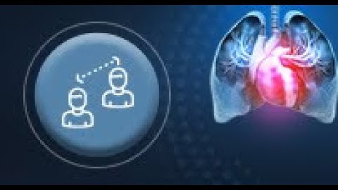 From Risk Assessment to Treatment: Real-World Approaches to PAH