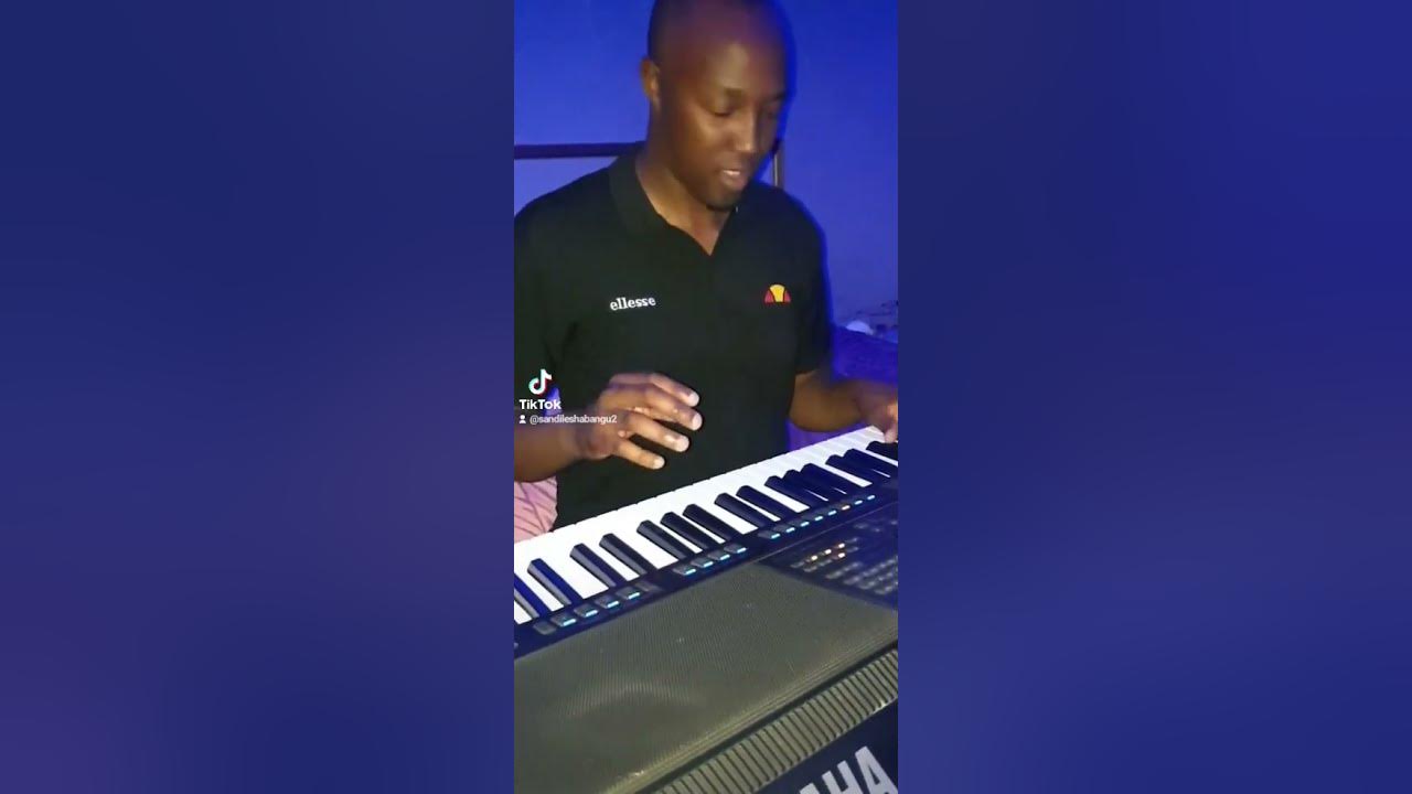 hlengiwe mhlaba ziyamazi umelusi cover