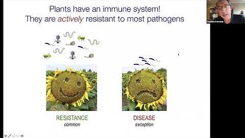 Sophien Kamoun: Beyond single genes: how receptor networks underpin plant immunity