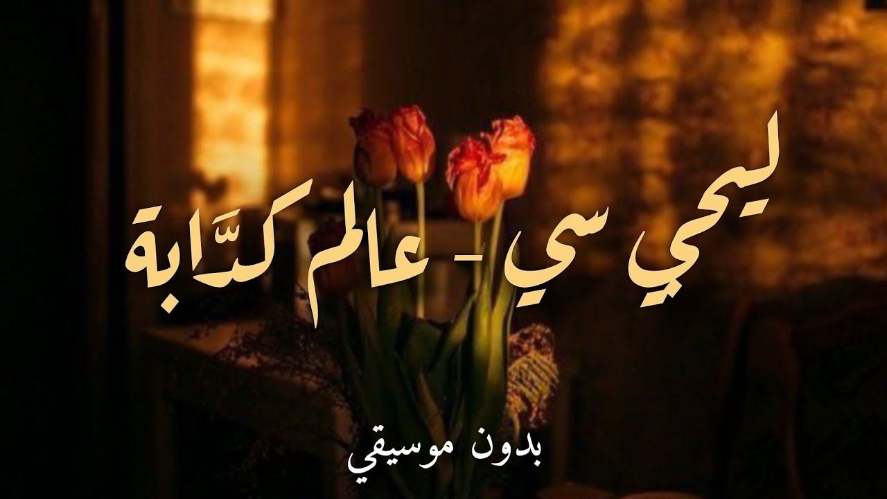 ليجي سي - عالم كدَّابة | بدون موسيقي 