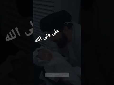 امام علی ولی الله علیه السلام 