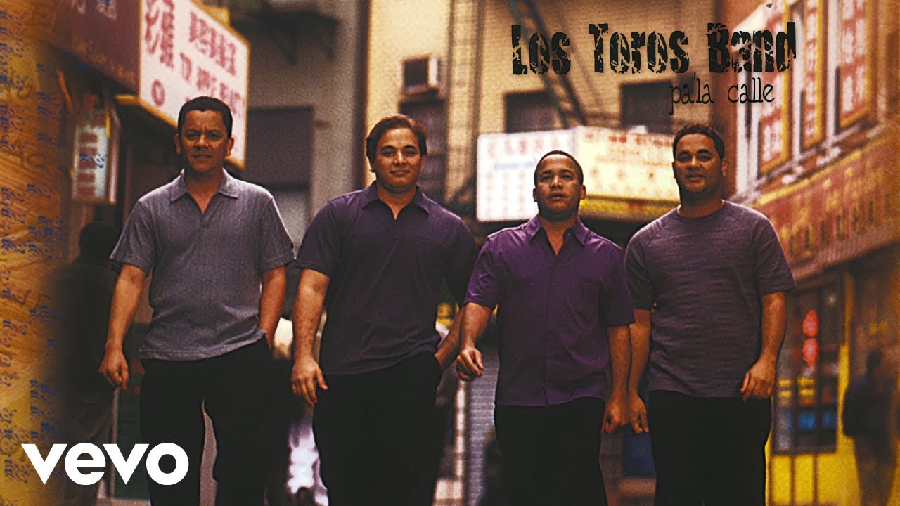 Los Toros Band - No Pude Quitarte Las Espinas - Bachata (Visualizer)