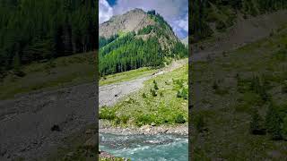 Mahudand Majesty: A River's Journey Through Kalam's Lush Peaks #pakistan #shorts #nature #travel