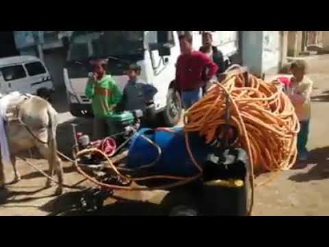 هما دووول المصرين اديلو في وشو