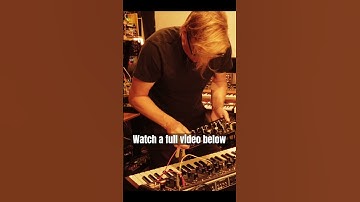 Make Noise Strega is such  a fun device when paired with Moog Matriarch