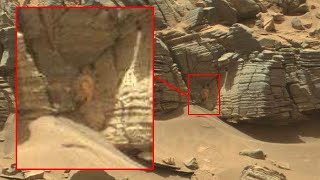 【未知】火星で確認されている3つの生物の痕跡