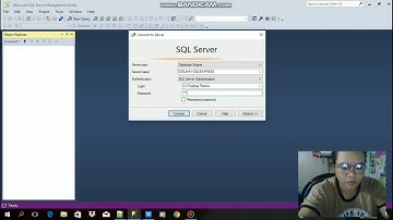 LAB #2 INSERT, BACKUP AND RESTORE DATABASE IN SSMS USING SQL SERVER