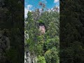Leshan Giant Buddha Twin Brother Scenery Tourism Shorts Scenery Tourism 
