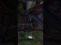 The Best Quest Run In Gtag #gorillatag #gorillatagquest #vr #gtag #virtualreality