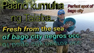 Paano Ba Kumuha Ng Talaba/Fresh From The Sea.perfect Spot Of Bago City Neg.occ..