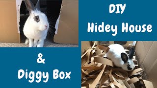 DIY Hidey House & Diggy Box for Your Bunnies