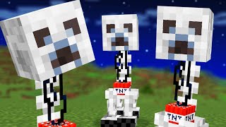 We Combined Minecraft Mobs with Skeletons