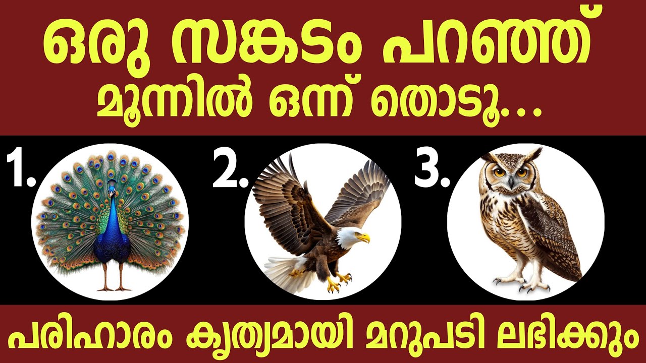 ഒരു ദുഃഖം പറഞ്ഞ് ഒന്ന് തൊട്ടാൽ പരിഹാരം , കൃത്യമായ മറുപടി ലഭിക്കും | Thodukuri Sastram Malayalam