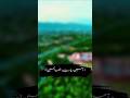 Ameen Ya Raboallah Almeen Foryou Islamicvideo Trendingshorts Viral Viralvideo Fyp Ameen Ya Raboallah Almeen Foryou Islamicvideo Trendingshorts Viral Viralvideo Fyp