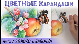 Как рисовать акварельными карандашами. Часть 1. 