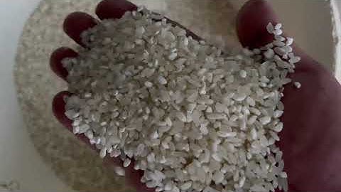 RealTech M96 Rice Color Sorting 1 ton per hour rice color sorter machinery working in customer site