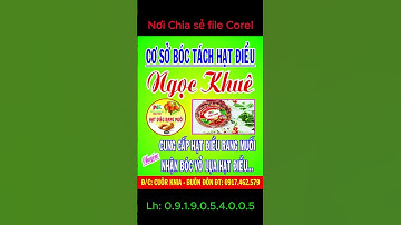 Share mẫu bảng hiệu cơ sở bóc tách hạt điều file corel thiết kế đồ họa #shorts