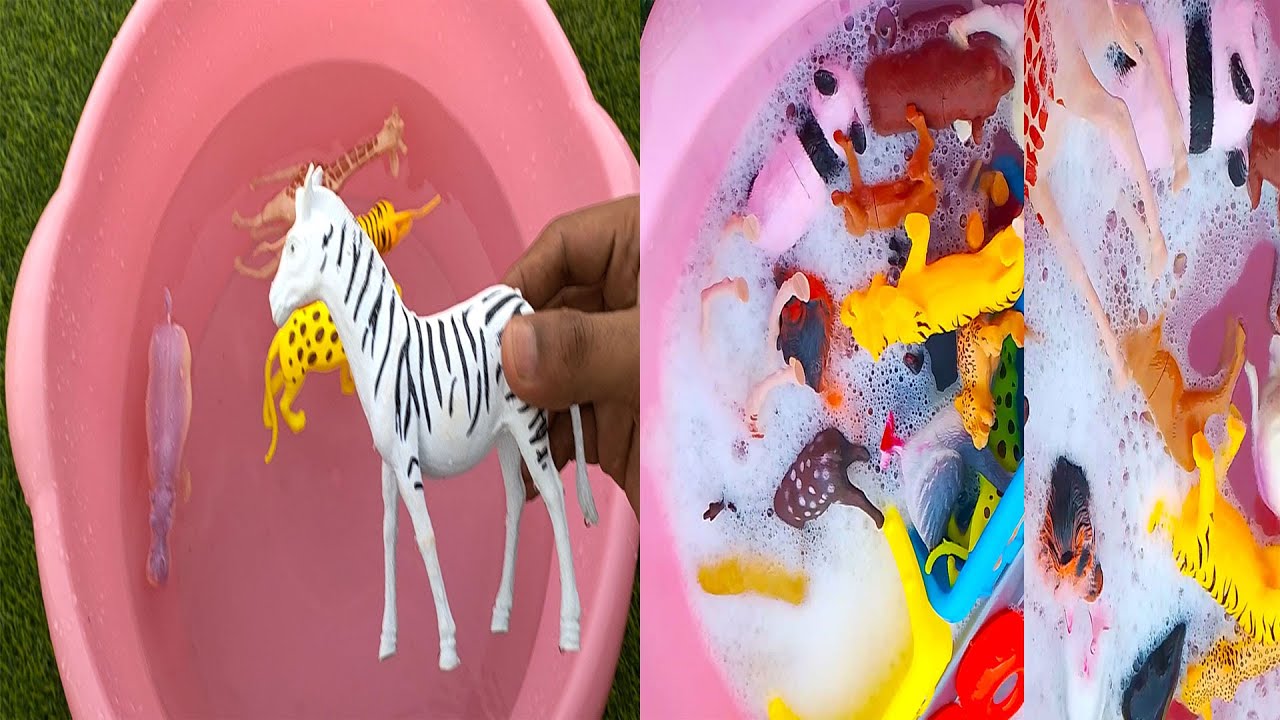 Learn Animals And Toys In Water Zoo Animal Toys Getting Washed