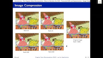 Singular Value Decomposition and its Applications