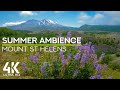 4K Summer Ambience of Mt St Helens - Soothing Sound of Wind, Bees Buzzing &amp; Birds Chirping