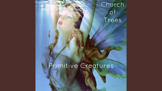 Primitive Creatures