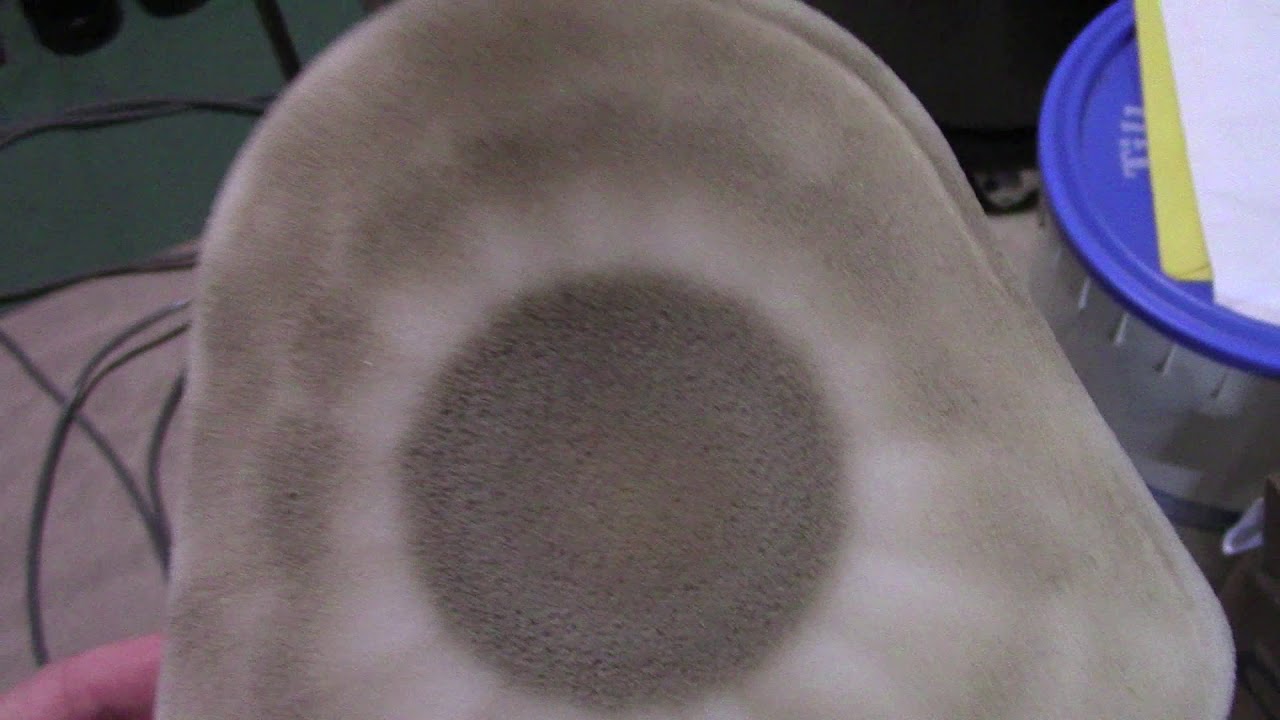 You *should* clean your Shark Vacuum Filters! YouTube