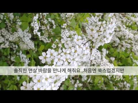 결국 봄/@윤종신,장필순